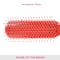 Vega Flat Hair Brush India's No.1 Hair Brush Brand for Men & Women Color May Vary (R4-FB ) (51 g)