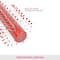 Vega Round Hair Brush for Adding Curls Volume in Hair for Men and Women (R4-RB ) (72 g)