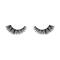 SWATI Cosmetics Tiger Eyes