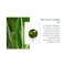 Innisfree Aloe Revital Soothing Gel (300ml)