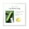 Innisfree Green Tea Lip Balm (3.6ml)