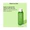 Innisfree Green Tea Balancing Skin (200ml)