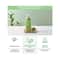 Innisfree Green Tea Balancing Lotion (160ml)