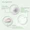 LISEN Revealing Grace Eye Cream (15g)