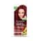 Garnier Color Naturals Creme Riche Hair Color - Shade 7.65 Raspberry Red (55ml + 50g)