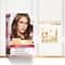 L'Oreal Paris Excellence Creme Hair Color, 6.13 Golden Brown, 72ml+100g