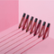 Chambor Extreme Matte Long Wear Lip Colour Make up Les Meringues Collection - Praline, 18 (2.8g)