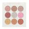 Insight Cosmetics Pro Eyeshadow - A(ES-110) Shade (13g)