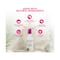 Everteen Witch Hazel Natural Intimate Wash For Feminine Hygiene (210ml)