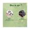 Biotique Green Apple Shine & Gloss Shampoo & Conditioner (190ml)