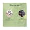 Biotique Green Apple Shine & Gloss Shampoo & Conditioner (120ml)