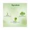 Biotique Green Apple Shine & Gloss Shampoo & Conditioner (120ml)
