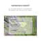 Mercedes-Benz Man Bright Eau De Parfum (100ml)