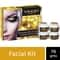 Vaadi Herbals Instaglow 24 Carat Gold Facial Kit (4 Pcs)