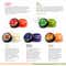 Vaadi Herbals Lychee Lip Balm (10g)