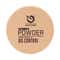 Matt Look Perfect Look 2 In 1 formula Powder - Fair (20 g)
