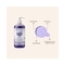 The Skin Story Refreshing Blueberry Shower Gel (190ml)