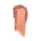 Wet n Wild Fantasy Maker Blush - Exit Stage Left (6g)