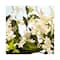 L'occitane Neroli & Orchidee Shower Gel (75ml)