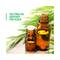 Phy Tea Tree Dandruff Control Shampoo (200ml)