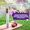 Plum Bodylovin Everythin Plum Eau De Parfum (15ml)