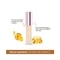 Lotus Makeup Ecostay Insta-Hide Creme Concealer - EC01 Rich Shell (7g)