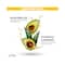 St. Ives Hydrating Vitamin E & Avocado Body Lotion (400ml)