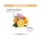 St. Ives Soothing Citrus & Cherry Blossom Shower Gel (650ml)