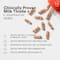Wellbeing Nutrition Liver Detox Supplement Liver Protection & Repair Delayed Release (60 Capsules)