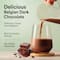 Wellbeing Nutrition Organic Vegan Protein Isolate 3B CFU Probiotics Belgian Dark Chocolate (500 g)
