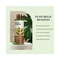 Just Herbs 8-In-1 Root Nourishing Amla And Neem Shampoo (200ml)