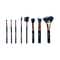 Bronson Makeup Everyday Essential Makeup Brush set for women (8 Pcs)
