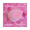 Plume Microfiber Velvet Blush Sponge