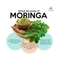 Aaranyaa Sulphate Free Tea Tree Moringa Face Wash (110ml)