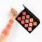 PAC Take Cover Blusher - X11 Shade (3.2g)