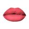 PAC Timeless Matte Liquid Lipstick - Wild Pink (6.5ml)