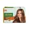 Streax Ultralights Highlighting Kit - Soft Blonde (20gm+20ml)
