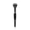 PAC Powder Brush - 216 (1Pc)
