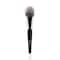 PAC Powder Brush - 264 (1Pc)