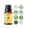 Essentia Extracts Ylang Ylang Essential Oil (15ml)