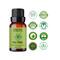 Essentia Extracts Tea Tree Essential Oil (15ml)