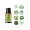 Essentia Extracts Eucalyptus Essential Oil (15ml)