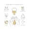 Essentia Extracts Clove Essential Oil (15ml)