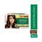 Streax Coffee Collection Ultralights Highlighting Kit - Cappuccino Brown (40gm+40ml)