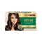 Streax Coffee Collection Ultralights Highlighting Kit - Cappuccino Brown (40gm+40ml)