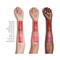 Shiseido VisionAry Gel Lipstick - 220 Red Lantern (1.6g)