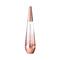 Issey Miyake L'Eau D'Issey Pure Nectar De Parfum EDP (30ml)