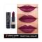 Pierre Cardin Paris Matte Rouge Lipstick - 255 Tempting Violet (4.3g)