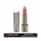 Pierre Cardin Paris Magnetic Dream Lipstick - 253 Spice Rose (4g)