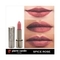 Pierre Cardin Paris Magnetic Dream Lipstick - 253 Spice Rose (4g)